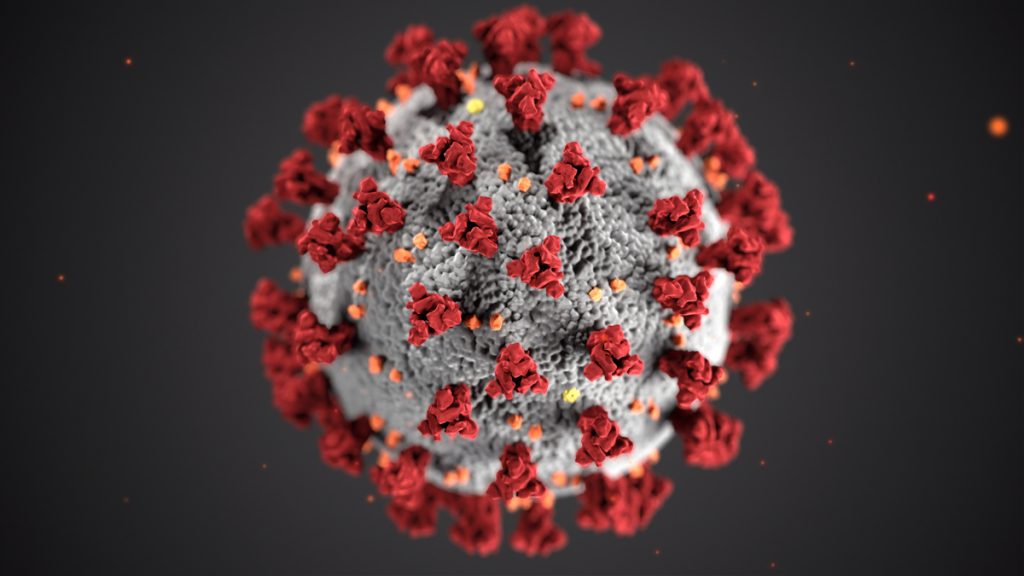Información básica sobre el Coronavirus